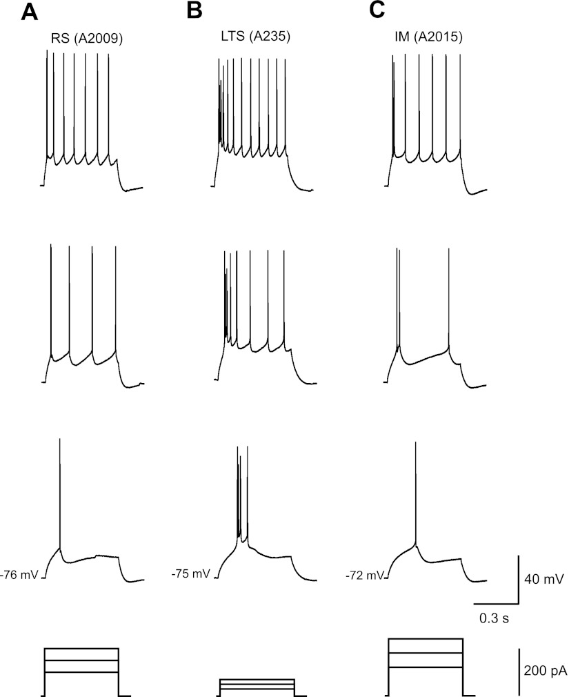 Fig. 3.