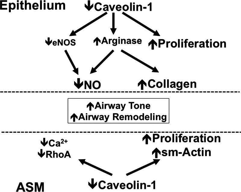 Fig. 11.