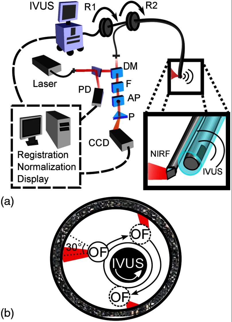 Fig. 1