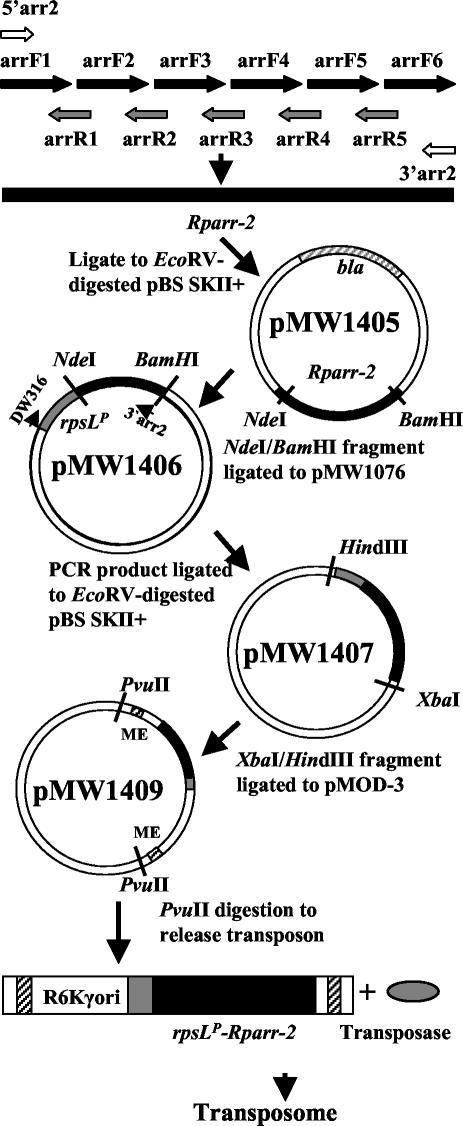 FIG. 1.