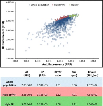 Fig. 1