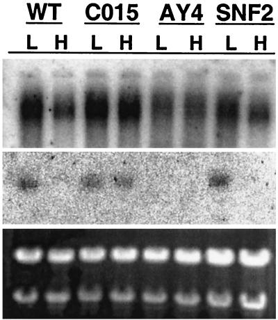 FIG. 7