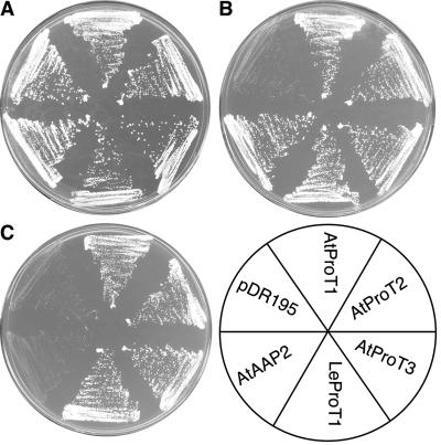 Figure 2.