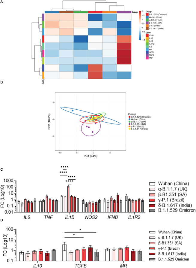 Figure 2