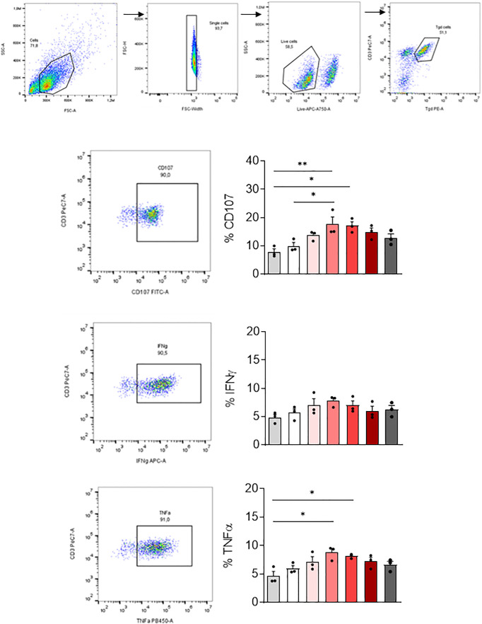 Figure 5