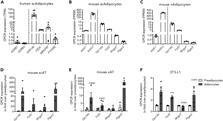 Figure 3