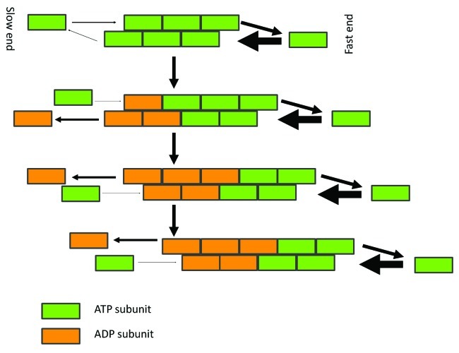 Figure 1. 