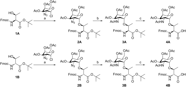 Scheme 1