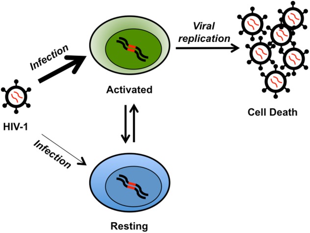 FIGURE 1