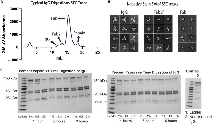 Figure 2