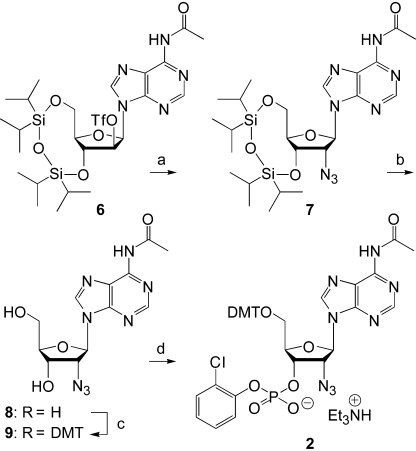 Scheme 3