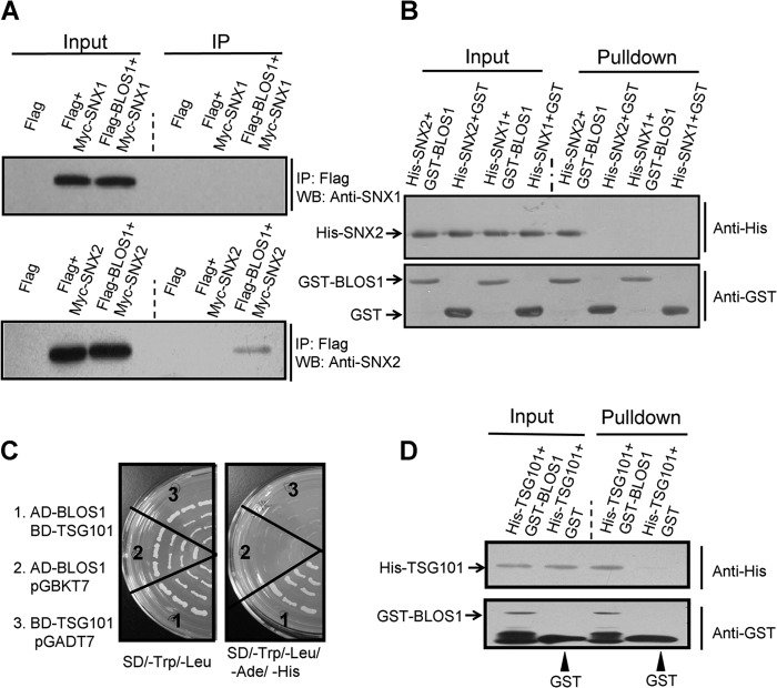 FIGURE 1.