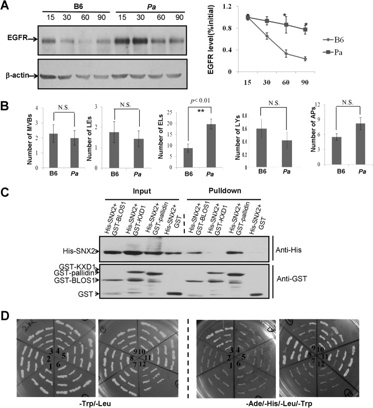 FIGURE 11.