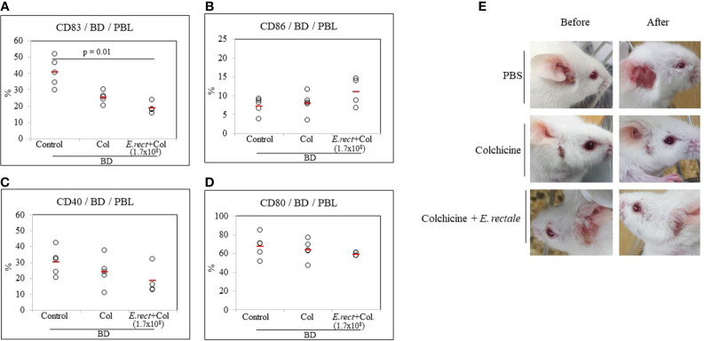 Figure 7