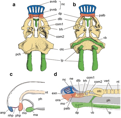 Fig. 3