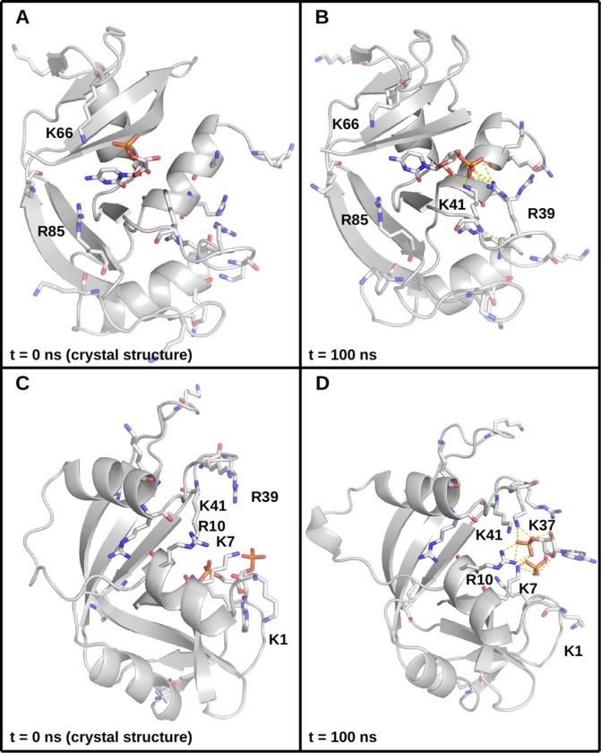 Fig 4