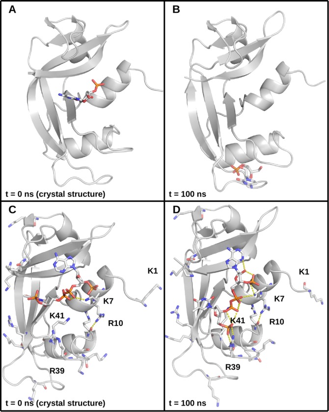 Fig 3