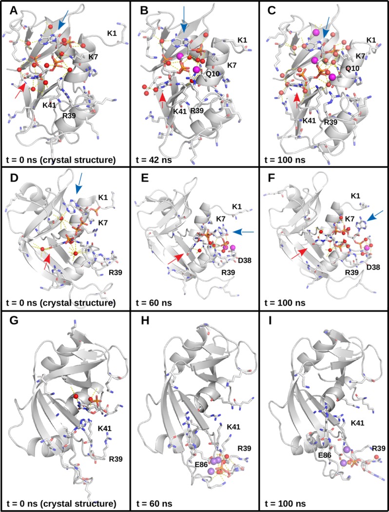 Fig 7