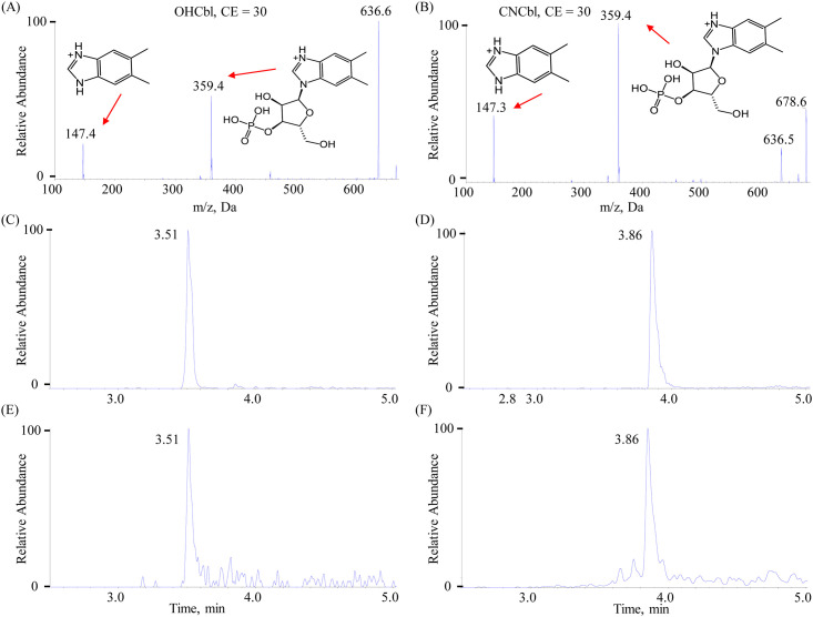 Fig 3