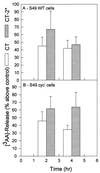 FIG. 1