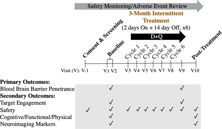 Figure 1: