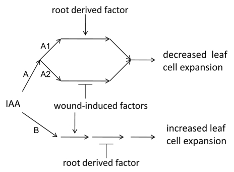 Figure 7.