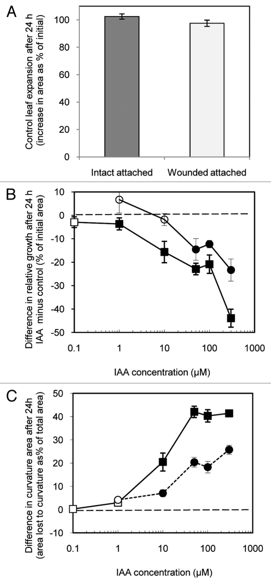 Figure 3.