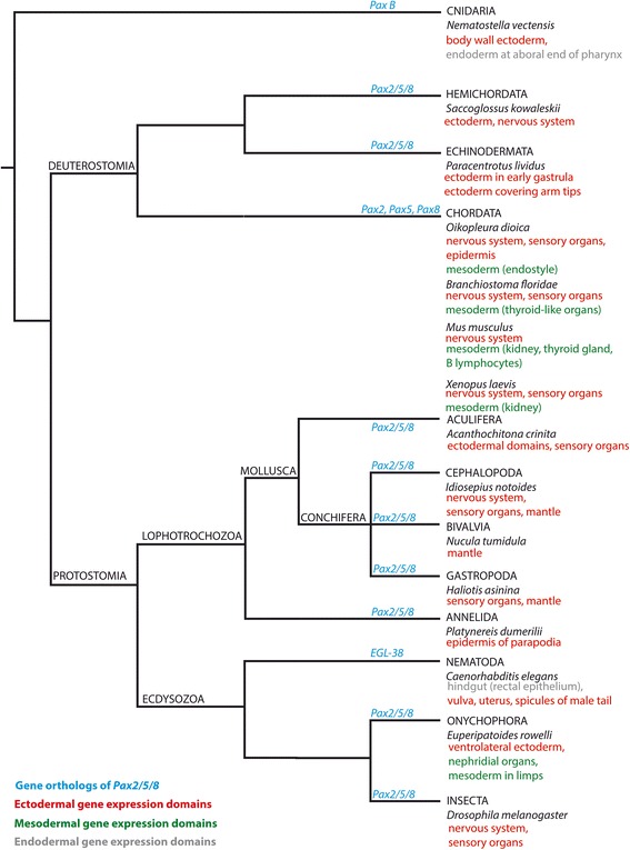 Fig. 12