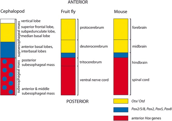 Fig. 11