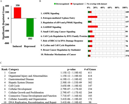 Figure 4A is a bar graph showing the number of induced (350) and repressed (593) genes. Figure 4B represents the bar graph for the Ingenuity Pathway Analysis of the top ten regulated canonical pathways and the number of up-regulated and down-regulated genes per pathway. Figure 4C shows the rank category of the top ten diseases and biological functions along with the number of genes per function.