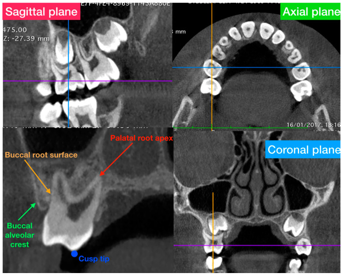 Figure 2