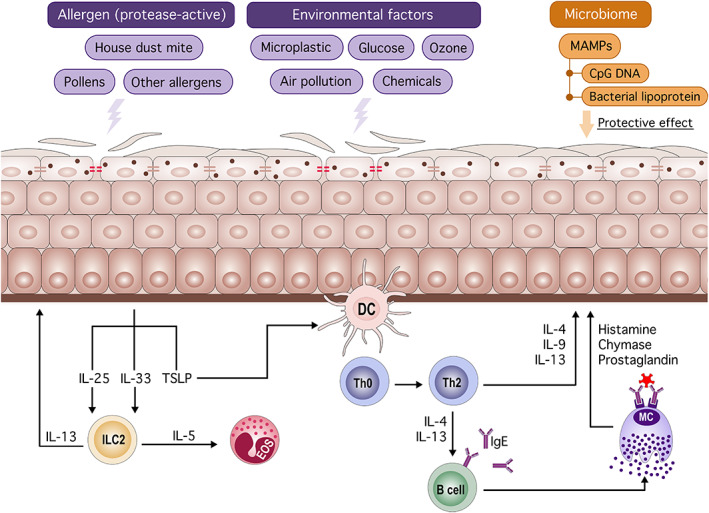 FIGURE 2