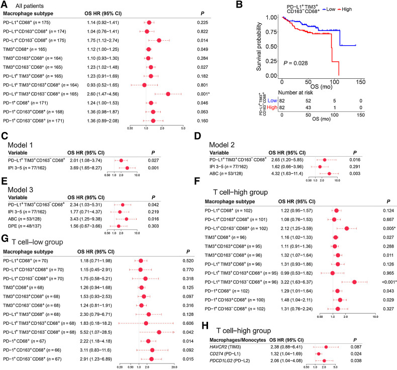 Figure 4. Clinical impact of immune checkpoint–expressing macrophages in the DLBCL microenvironment. A, A forest plot visualizing the impact of immune checkpoint–expressing macrophages on OS in the mIHC cohort, as evaluated by Cox regression univariate analyses with continuous variables. B, Kaplan–Meier (log-rank test) survival plots depict OS in patients with high and low proportion of PD-L1+TIM3+CD163− macrophages using median cutoff in the mIHC cohort. C–E, Forest plots visualizing the impact of PD-L1+TIM3+CD163− macrophages on OS in Cox regression multivariate analyses with IPI (C), IPI and molecular subtype (D), and IPI, molecular subtype and double protein expression (E) in the mIHC cohort. F and G, Forest plots visualizing the impact of immune checkpoint–expressing macrophages on OS in the T cell–high (F) and low (G) groups, as evaluated by Cox regression univariate analyses with continuous variables in the mIHC cohort. H, Forest plot visualizing the impact of the gene expression of immune checkpoint molecules in macrophages/monocytes, inferred with CIBERSORTx, on OS in the T cell–high group in the Reddy and colleagues' cohort, as evaluated by Cox regression univariate analyses with continuous variables. *, P ≤ 0.05 after FDR correction.