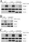 FIG. 8.