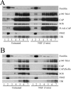 FIG. 5.