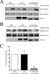 FIG. 10.
