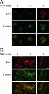 FIG. 4.