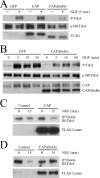 FIG. 9.