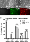 FIG 6