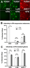 FIG 7