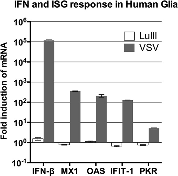 FIG 2