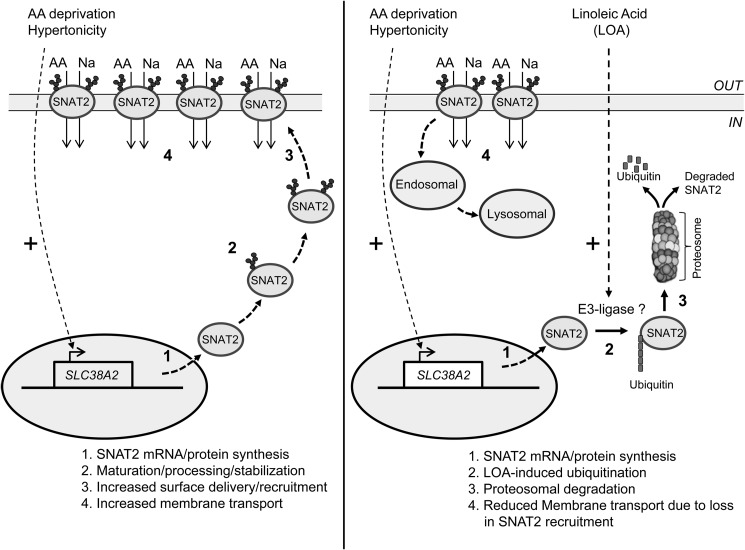 FIGURE 9.