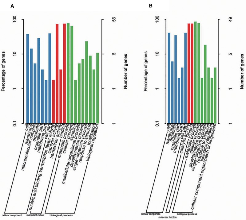 Fig. 6.—