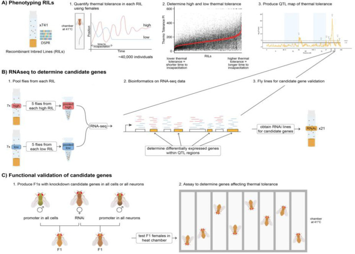Figure 1: