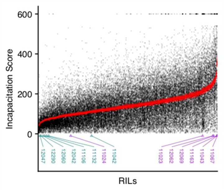 Figure 2: