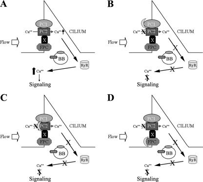 FIG. 8.