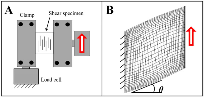 Figure 5: