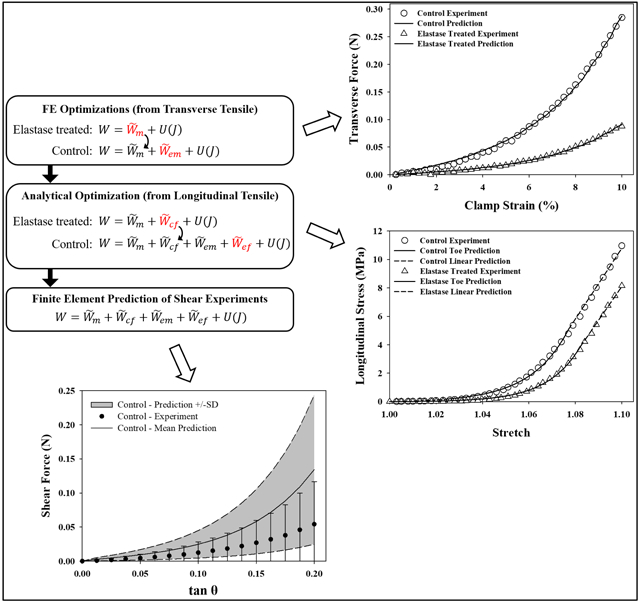 graphic file with name nihms-1535994-f0001.jpg