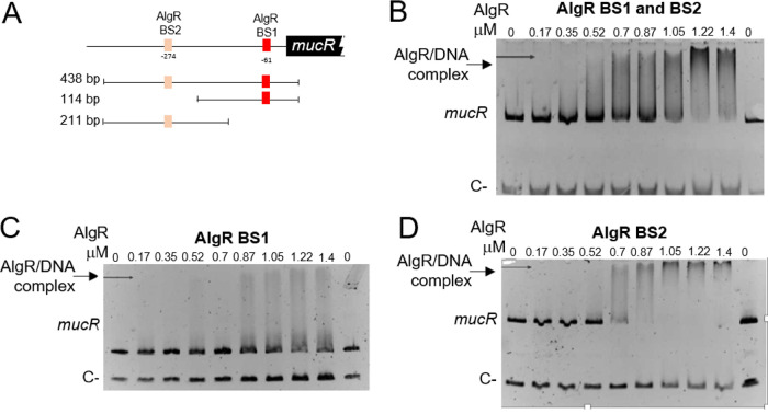 FIG 6