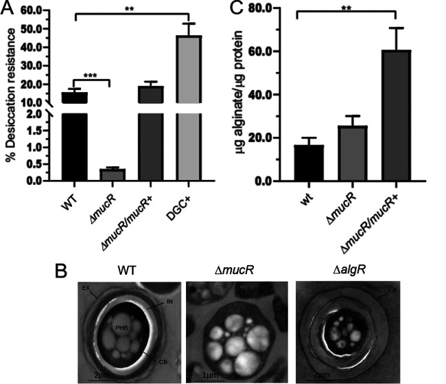 FIG 2